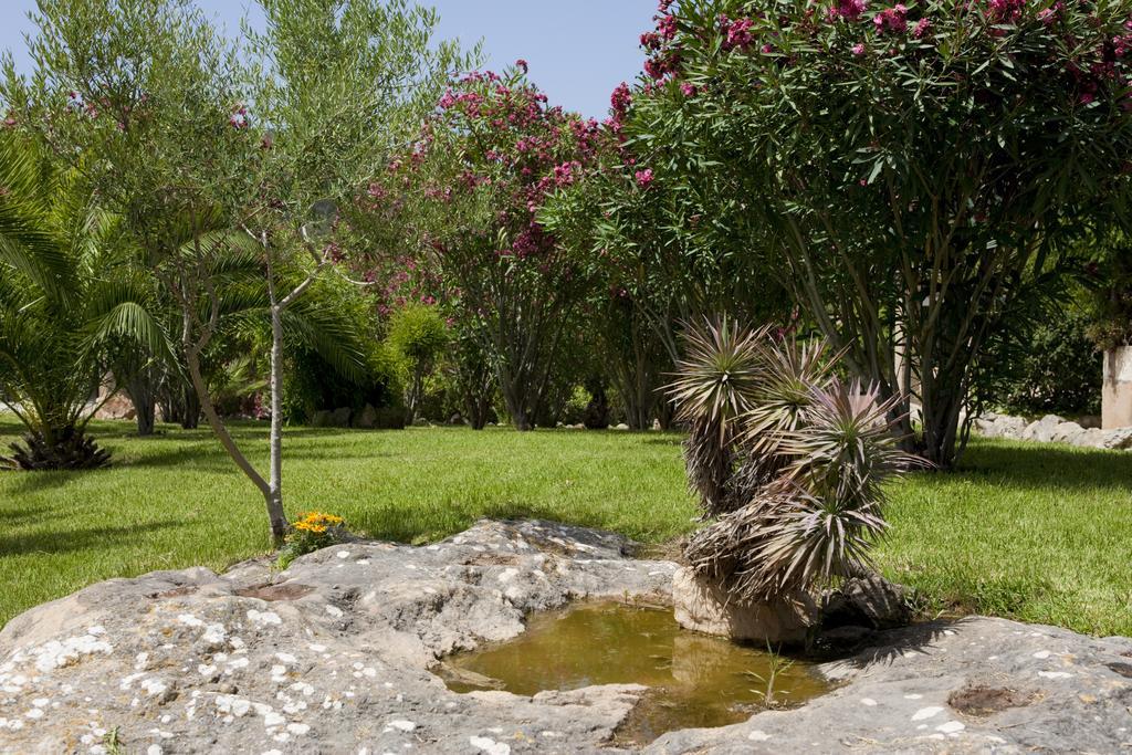 Agroturismo Can Patro Affittacamere Manacor  Esterno foto