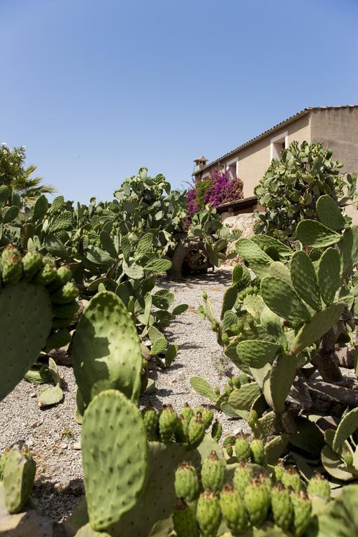 Agroturismo Can Patro Affittacamere Manacor  Esterno foto