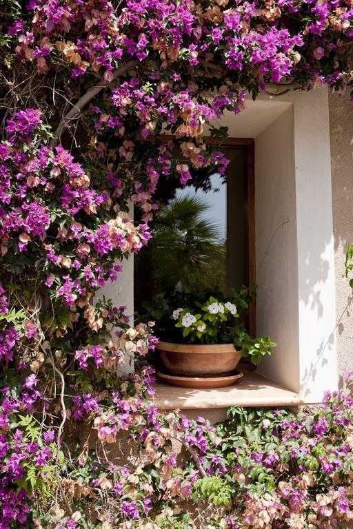 Agroturismo Can Patro Affittacamere Manacor  Esterno foto